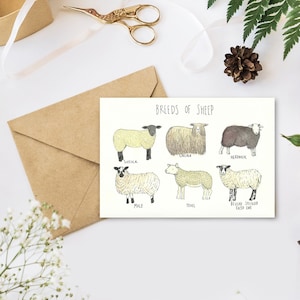 Greetings Card - Breeds of Sheep