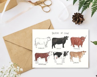 Greetings Card - Breeds of Cows