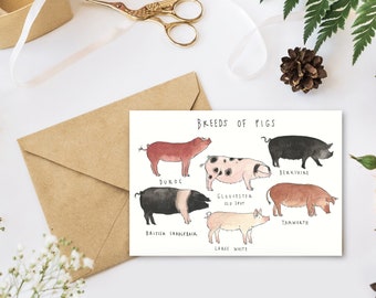 Greeting Card - Breeds of Pigs
