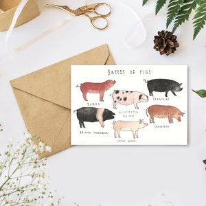 Greeting Card - Breeds of Pigs