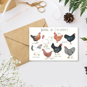 Carte de voeux - Races de poulets