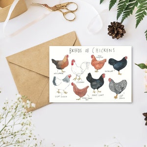 Greetings Card - Breeds of Chickens