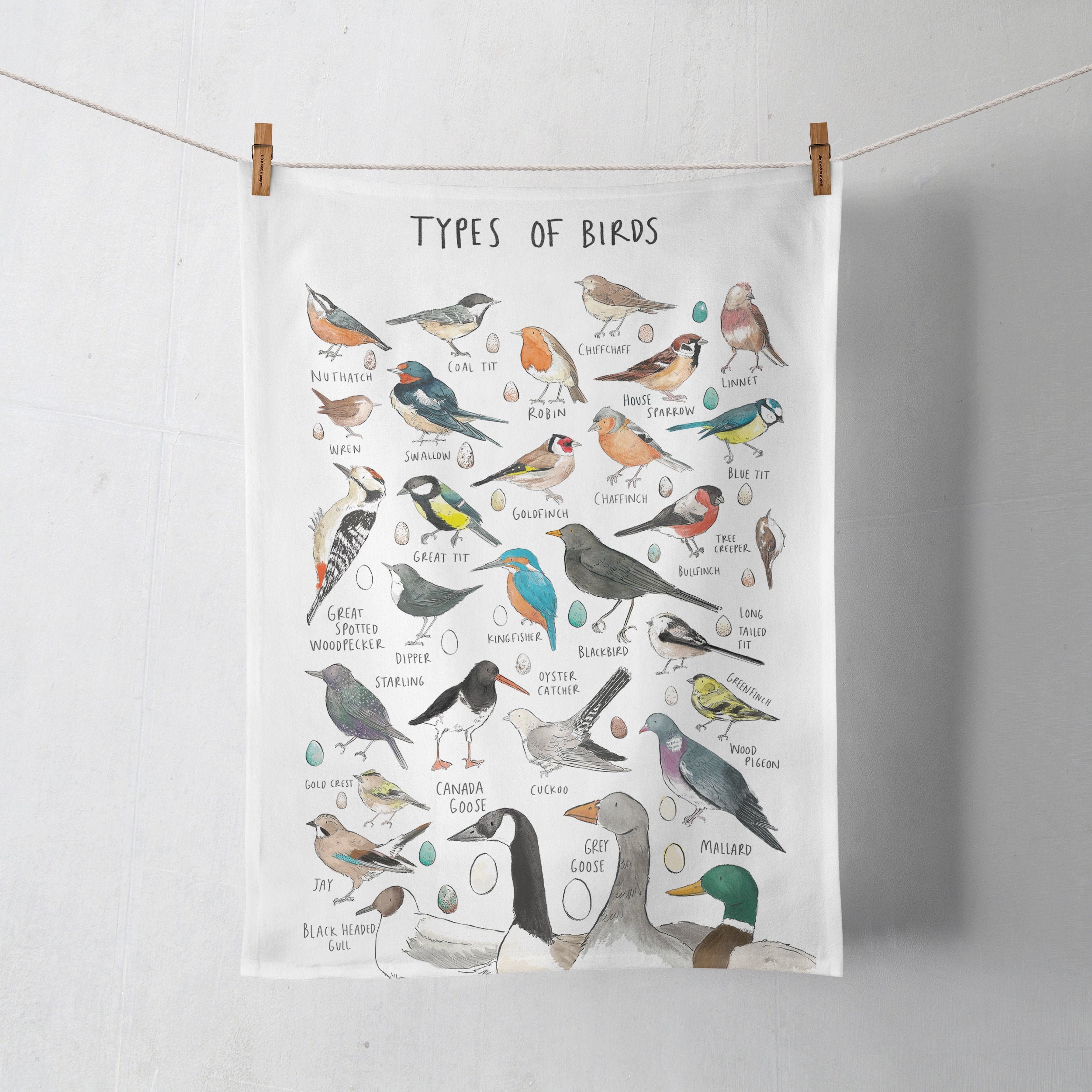 Tea Towel Types of British Birds Etsy UK