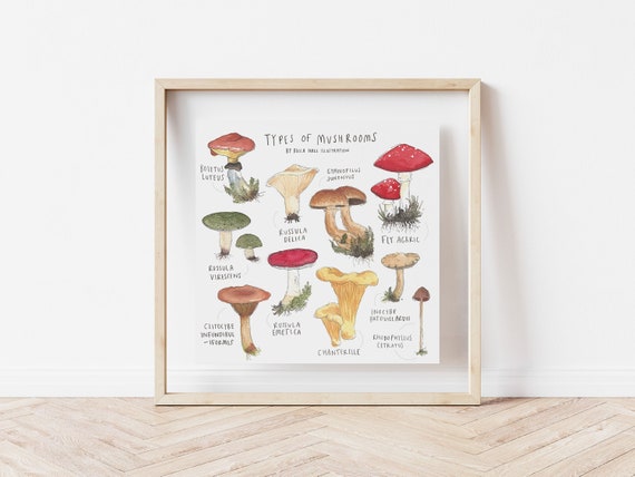 Imprimer Types De Champignons Etsy