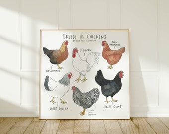 Breeds of chickens - giclée art print