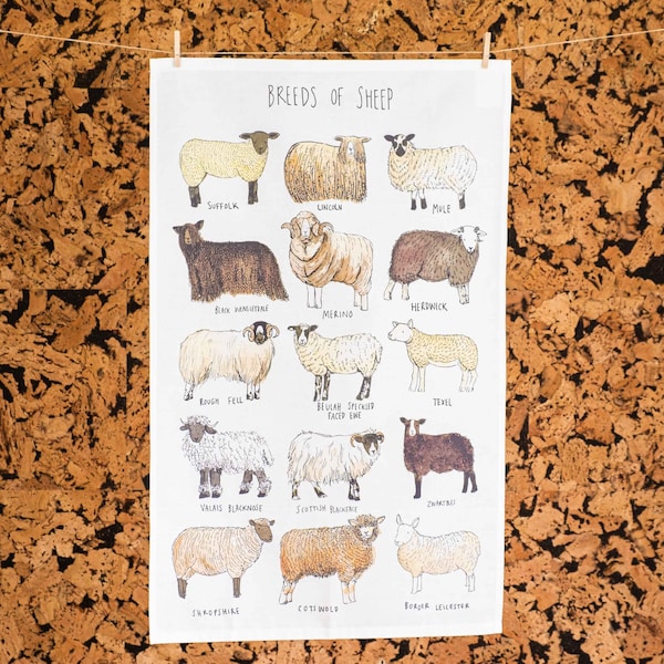 Tea Towel - Breeds of Sheep