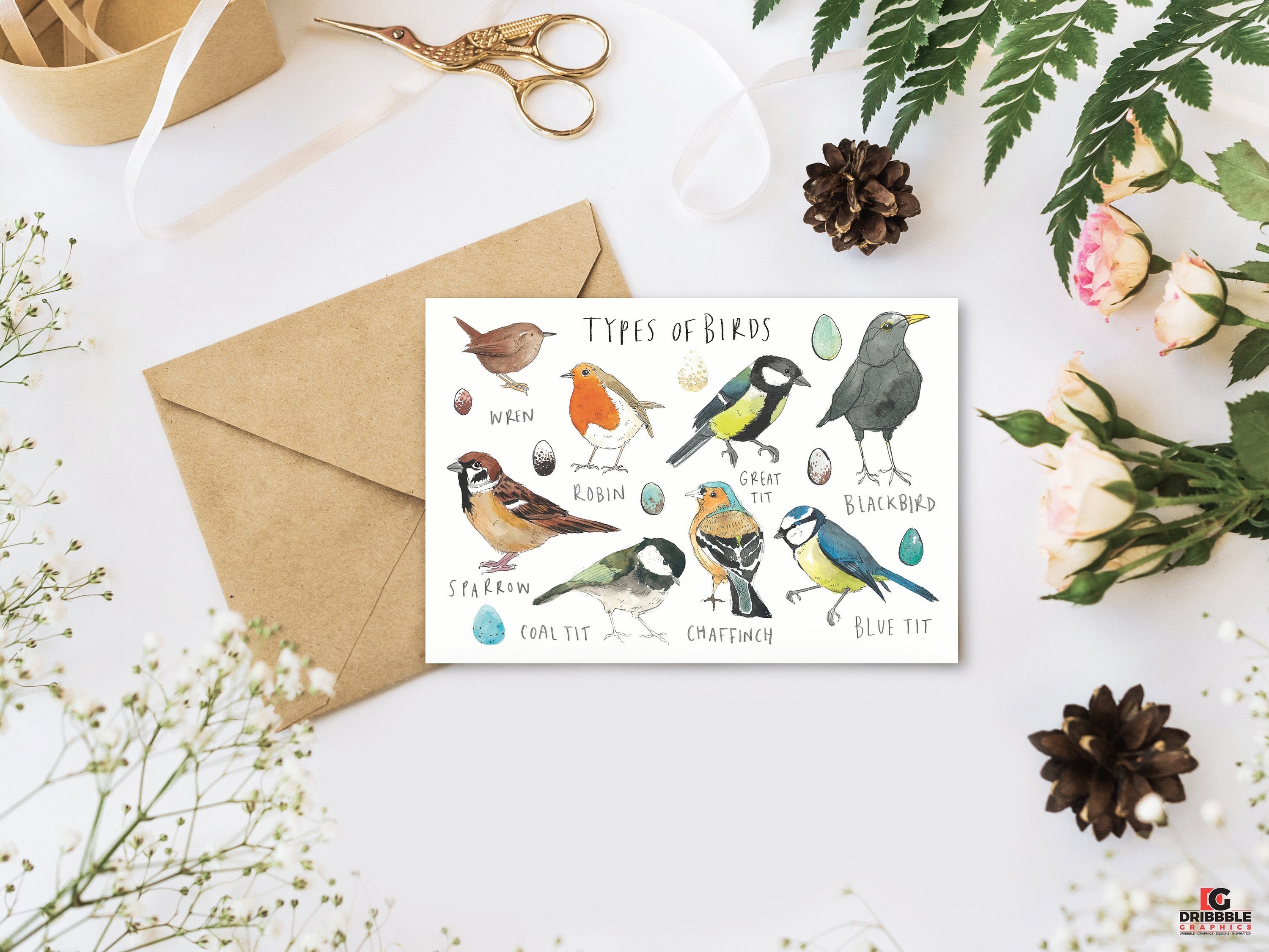 Greetings Card Types of Birds - Etsy UK