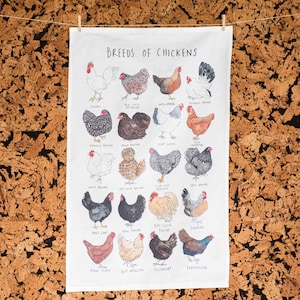 Tea Towel - Breeds of Chicken