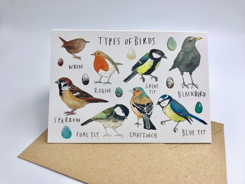 Greetings Card Types of Birds Etsy UK