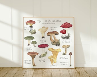Types of mushrooms  - giclée art print