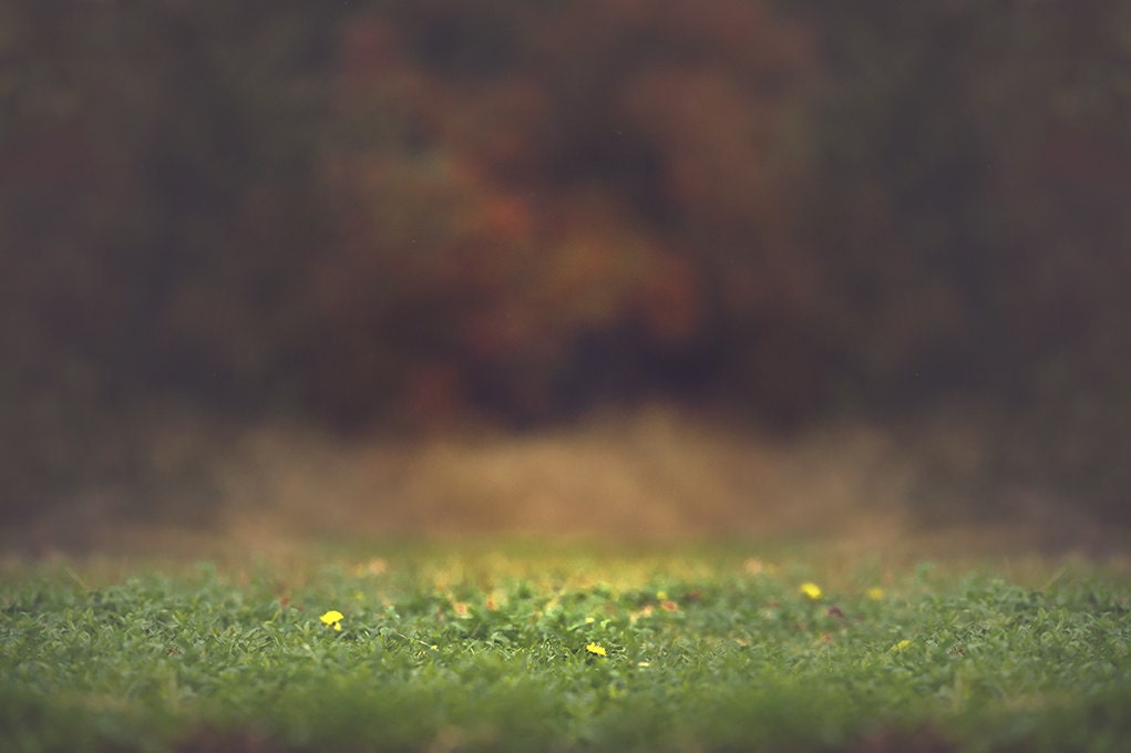how to blur background in zoom not available how to blur background in zoom not available