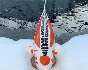 Koi Wall Decor - Beautiful Tancho Shusui