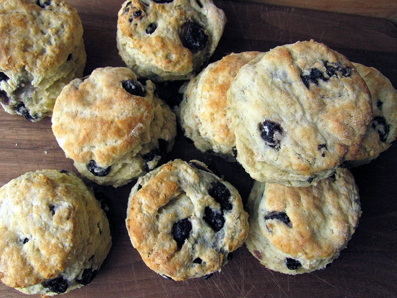 May include: A close-up of a group of blueberry biscuits on a wooden surface. The biscuits are light brown and have a slightly crispy texture. They are topped with blueberries and have a dusting of powdered sugar.
