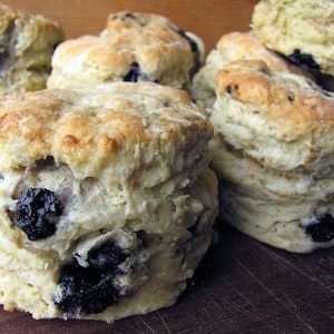 May include: Close-up of a group of freshly baked blueberry biscuits. The biscuits are light brown and have a soft, fluffy texture. They are topped with blueberries and have a slightly sweet taste.