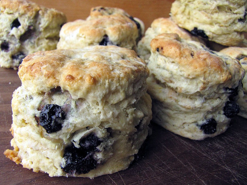 May include: Close-up of a group of freshly baked blueberry biscuits. The biscuits are light brown and have a soft, fluffy texture. They are topped with blueberries and have a slightly sweet taste.