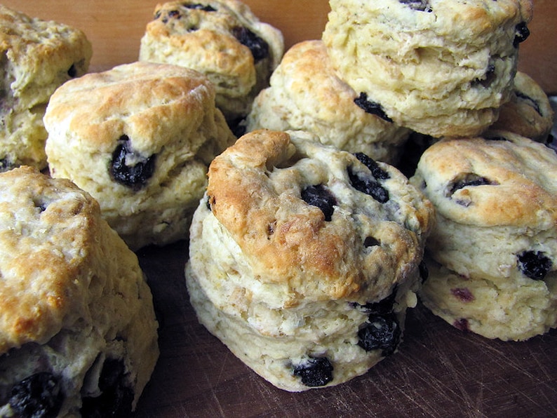 Scottish Bannocks Oat Bannocks Scottish Biscuits Bread Etsy scottish-bannocks-oat-bannocks-scottish-biscuits-bread-etsy