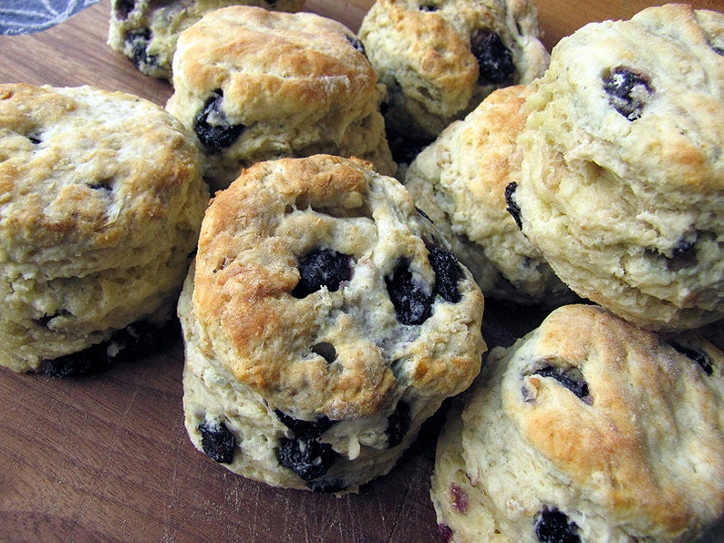 May include: A close-up of a batch of freshly baked blueberry biscuits. The biscuits are golden brown and have a slightly crispy exterior. The blueberries are visible throughout the biscuits, adding a touch of sweetness and color.