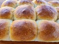 Amish Potato Rolls, Soft Yeast Dinner Rolls, Slider Buns (12)