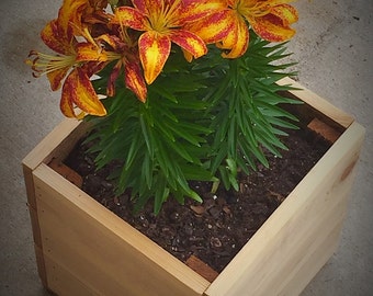 Outdoor Planter Box