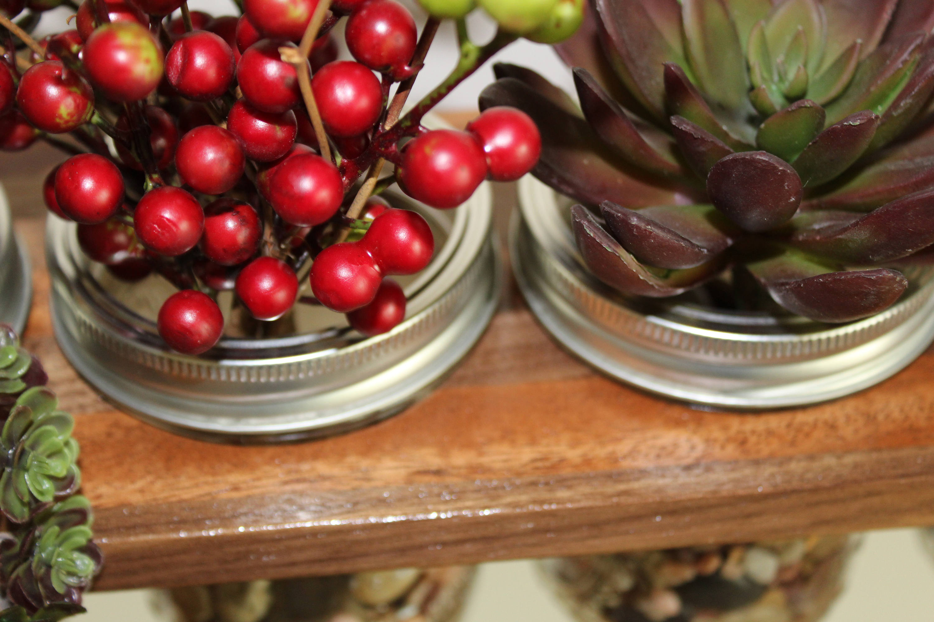 Hanging Mason Jar Planter