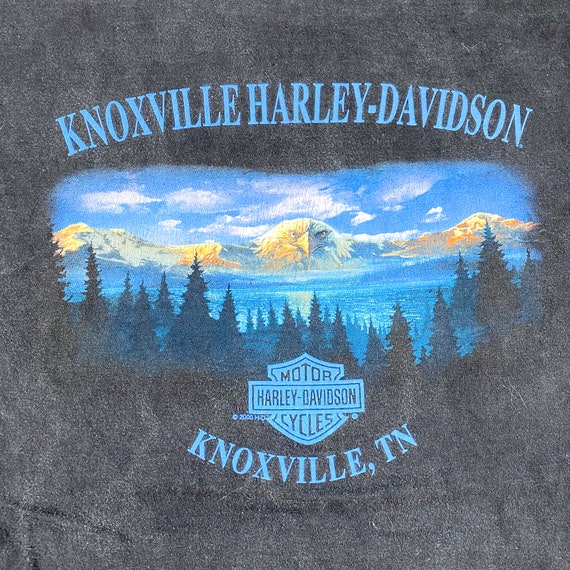 Vintage Knoxville Harley Shirt 90s knoxville TN h… - image 8