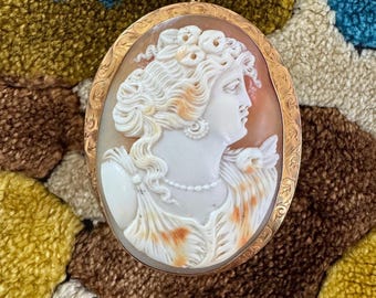 May include: A cameo brooch featuring a woman's profile carved in shell, set in a gold-toned oval frame with intricate details.
