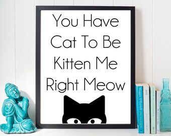 Lustige Katze Zeichen Katzenliebhaber Geschenk Verrückte Etsy