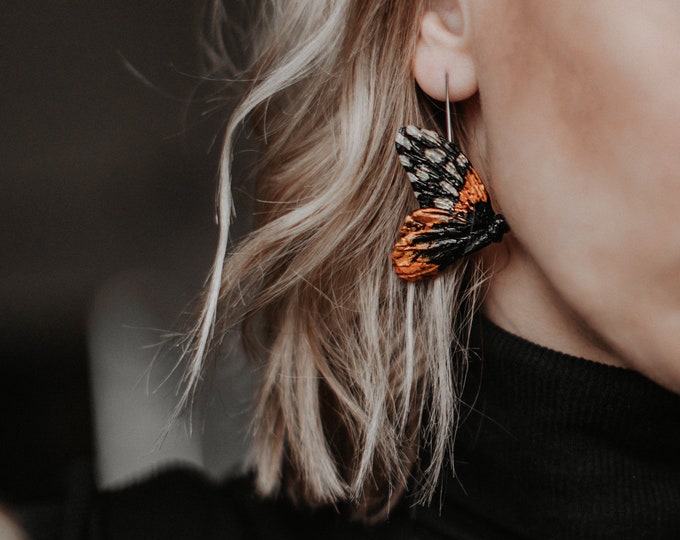 ★daisy★✾14kgf Cape Daisy Seeds - Ballade Mix | Flower Seeds in Packets & Bulk