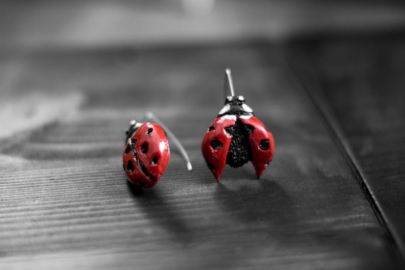 Bug earrings, Ladybug hook earrings, Ladybird polymer clay earrings, Red earrings, Handmade, Hook earrings, Artistic earrings, Bright image 3