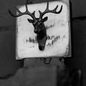Puede incluir: Imagen en blanco y negro de una cabeza de ciervo montada en una placa de madera con una escena de bosque pintada. La cabeza de ciervo es una escultura 3D con una cara y cuernos detallados.