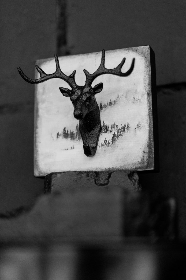 Puede incluir: Imagen en blanco y negro de una cabeza de ciervo montada en una placa de madera con una escena de bosque pintada. La cabeza de ciervo es una escultura 3D con una cara y cuernos detallados.