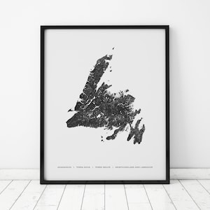 May include: Black and white print of the outline of Newfoundland and Labrador, Canada. The print is framed in a black frame and has the text "AKAMASSIS | TERRA NOVA | TERRE-NEUVE | NEWFOUNDLAND AND LABRADOR" at the bottom.