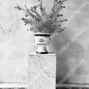 Seville Spain Real Alcazar de Sevilla black and white Photograph 8" x 10" Plus free mat 11" x 14"