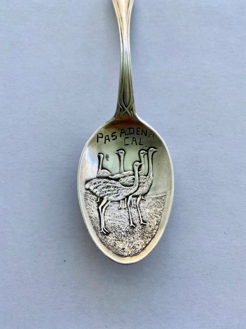 Pasadena California Sterling Silver Souvenir Spoon, Lotus Flower Handle