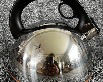 Victorian Silver Plated Teapot: William Suckling & Sons