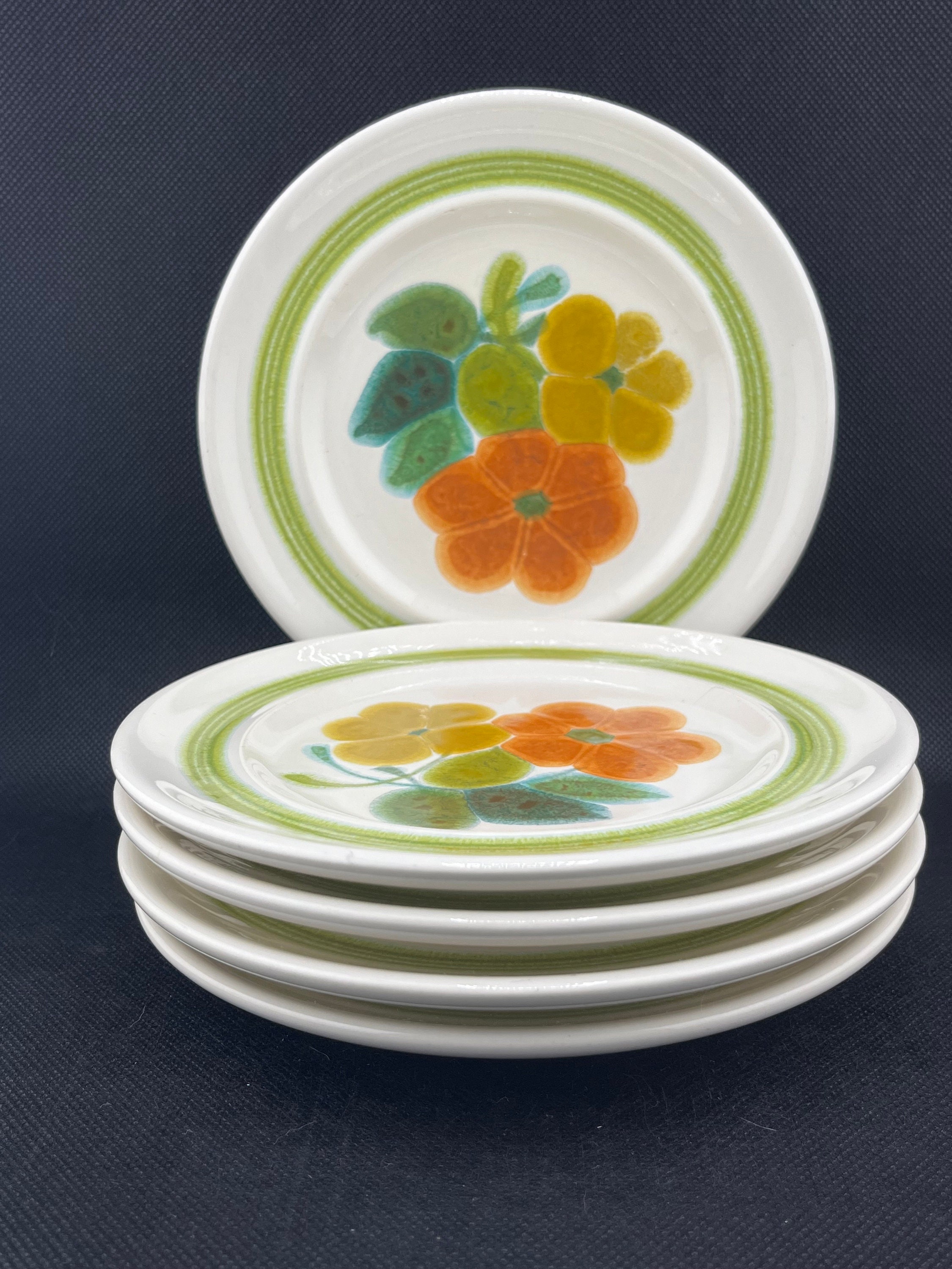 アメリカ製 PFALTZGRAFF 花柄 食器セット Amazon.com: Pfaltzgraff Garden Party Dinnerware Set (16 Piece)