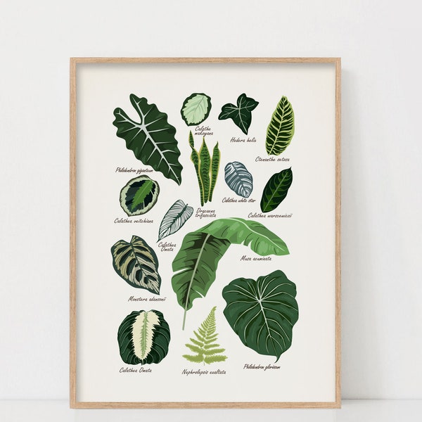 House Plants Print, Plant Poster, Printable Wall Art, Botanical Wall Art Prints, Plant Lady, Plant Lover Gift, Indoor Plants, Vintage Print