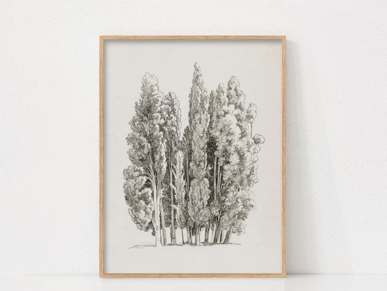 May include: Black and white line drawing of a group of trees, framed in a light wood frame.