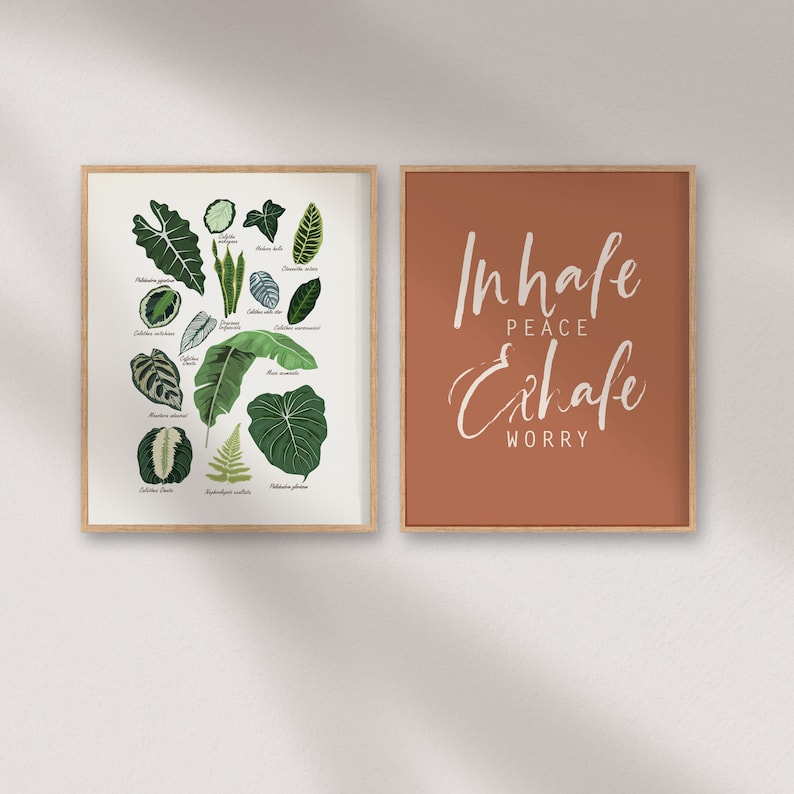 Puede incluir: Dos impresiones enmarcadas, una con una ilustraci&oacute;n bot&aacute;nica de varias hojas verdes y la otra con el texto "Inhale Peace Exhale Worry" sobre un fondo terracota.
