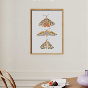 Moth Print, Printable Wall Art, Spring Wall Decor, Floral Wall Art, Boho Prints, Instant Download, Easter Printables, Butterfly Wall Art image 6