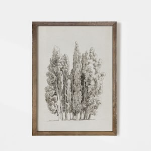 May include: A framed black and white pencil drawing of a group of trees. The trees are drawn in a realistic style and the drawing is framed in a simple brown frame.