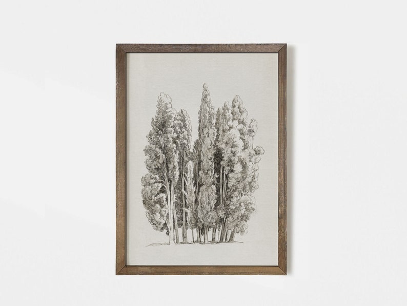 May include: A framed black and white pencil drawing of a group of trees. The trees are drawn in a realistic style and the drawing is framed in a simple brown frame.