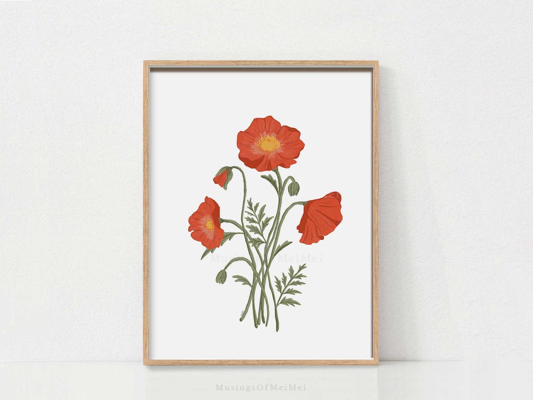 Red Poppy Botanical Print, Cottagecore Floral Wall Art (digital ...