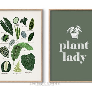 Plant Lady Prints, Set of 2, Printable Wall Art, Botanical Prints Download, Plant Lover Gift, Plant Mom Decor, Jungalow, Home Decor Prints