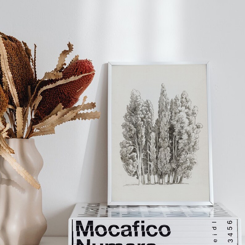 May include: A black and white line drawing of a group of trees in a white frame. The drawing is on a cream background. The frame is sitting on top of a stack of books with the word "Mocafico" printed on the top book.