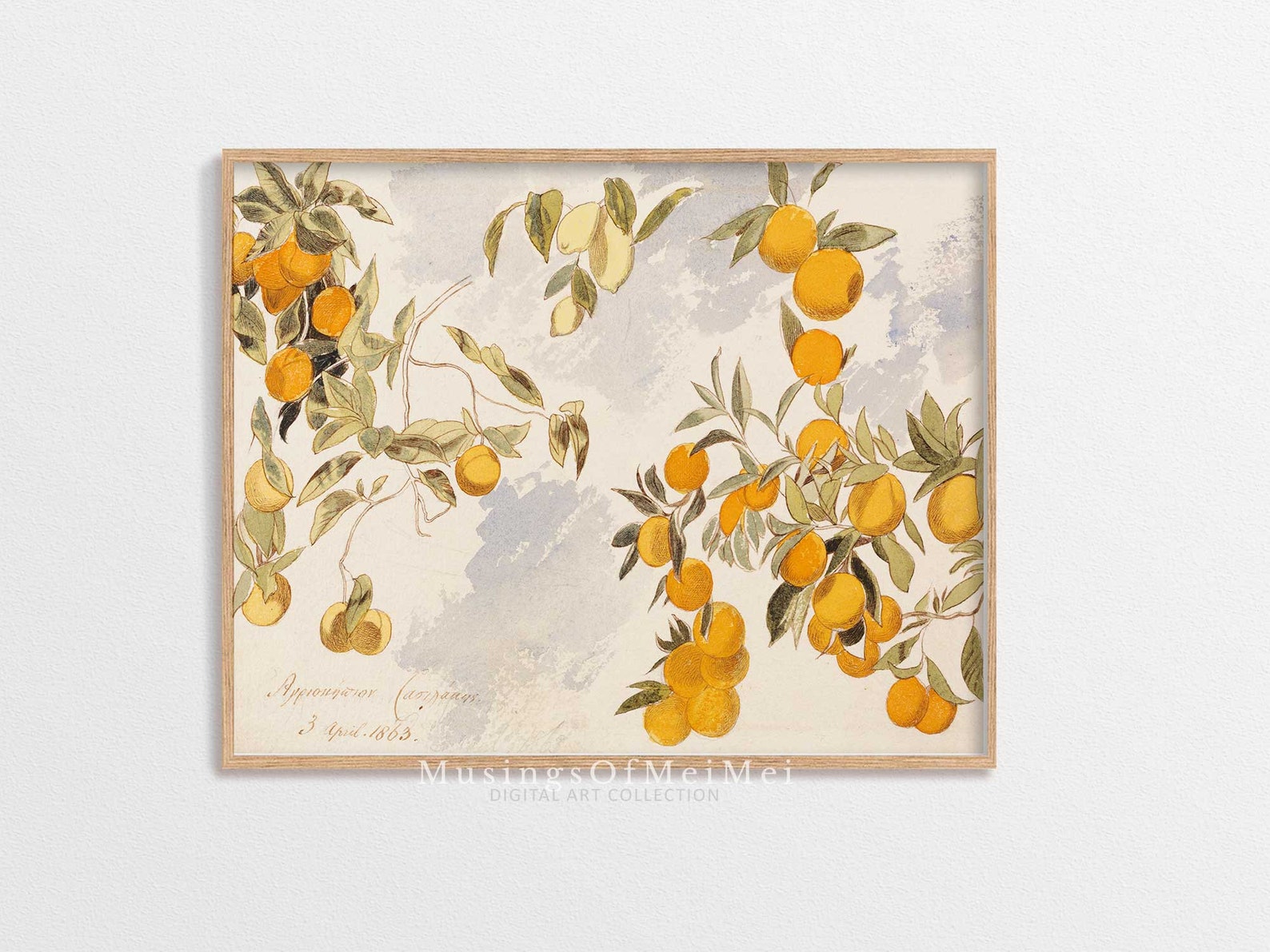 Vintage Kitchen Print, Orange Lemon Tree, Digital Download, Antique Art ...