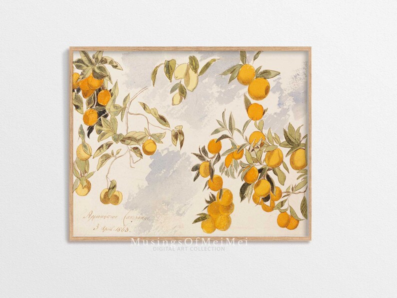 Vintage Kitchen Print, Orange Lemon Tree, Digital Download, Antique Art ...