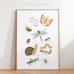 May include: A framed art print featuring colorful illustrations of various insects, including a butterfly, bee, ladybug, and snail. The print includes the text "MusingsOfMeiMei" at the top and insect names below each illustration. The artwork is set against a white background.