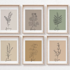 Kräuterdrucke, Küchen Wandkunst, Galeriewand von 6, druckbare Wandkunst, Boho Küchendekor, Küchendruckset, Botanische Kunst, Esszimmerdekor