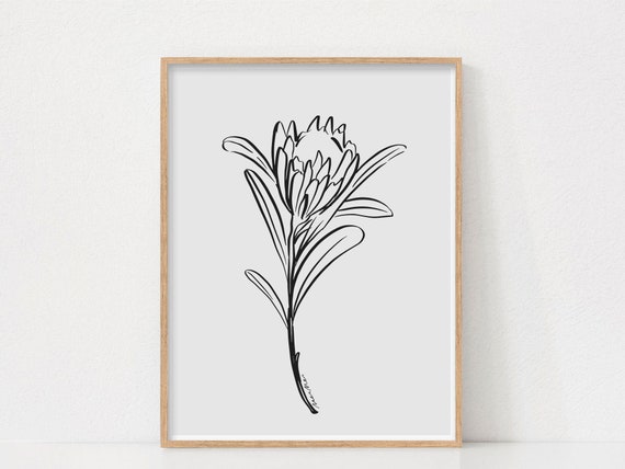 Protea Print Black and White Wall Art Floral Line Art | Etsy